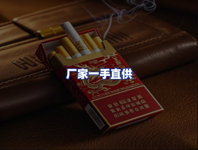 专业团队